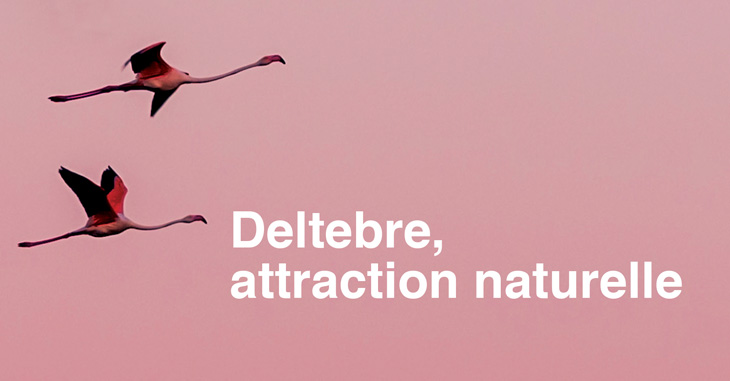Catàleg turístic: Deltebre, atracció natural